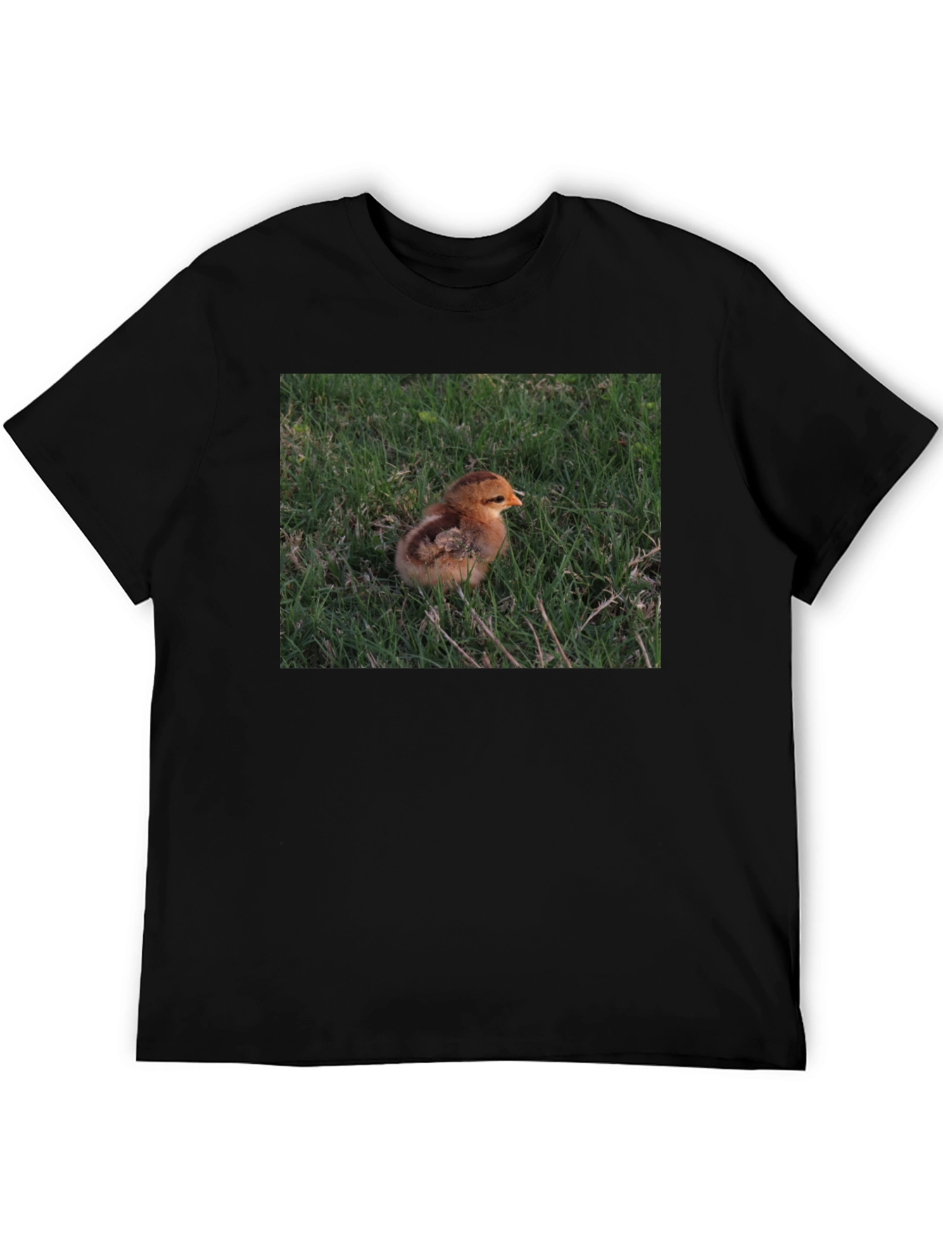 Camiseta Negra con Diseño de Pollito en el Césped