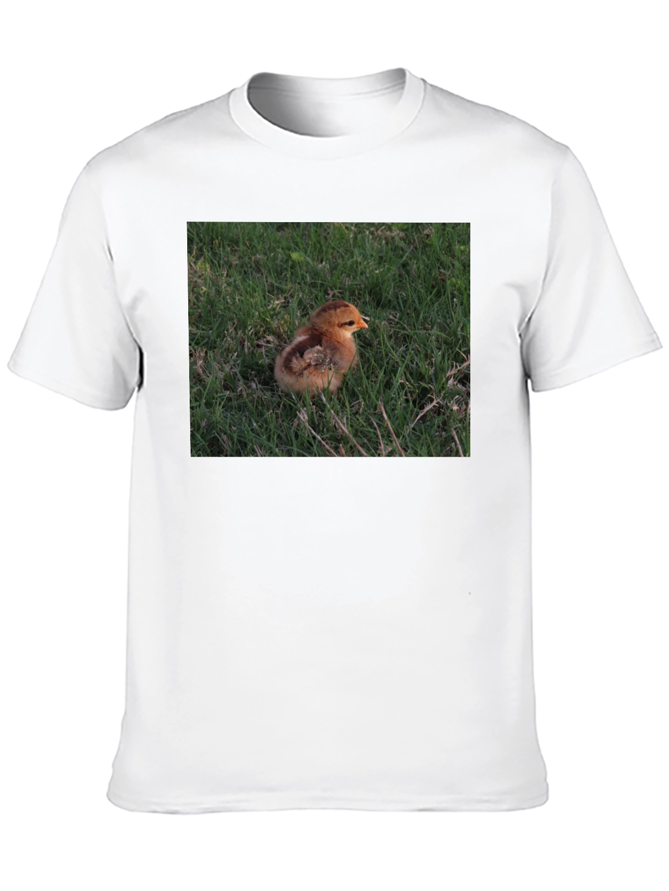 Camiseta Negra con Diseño de Pollito en el Césped
