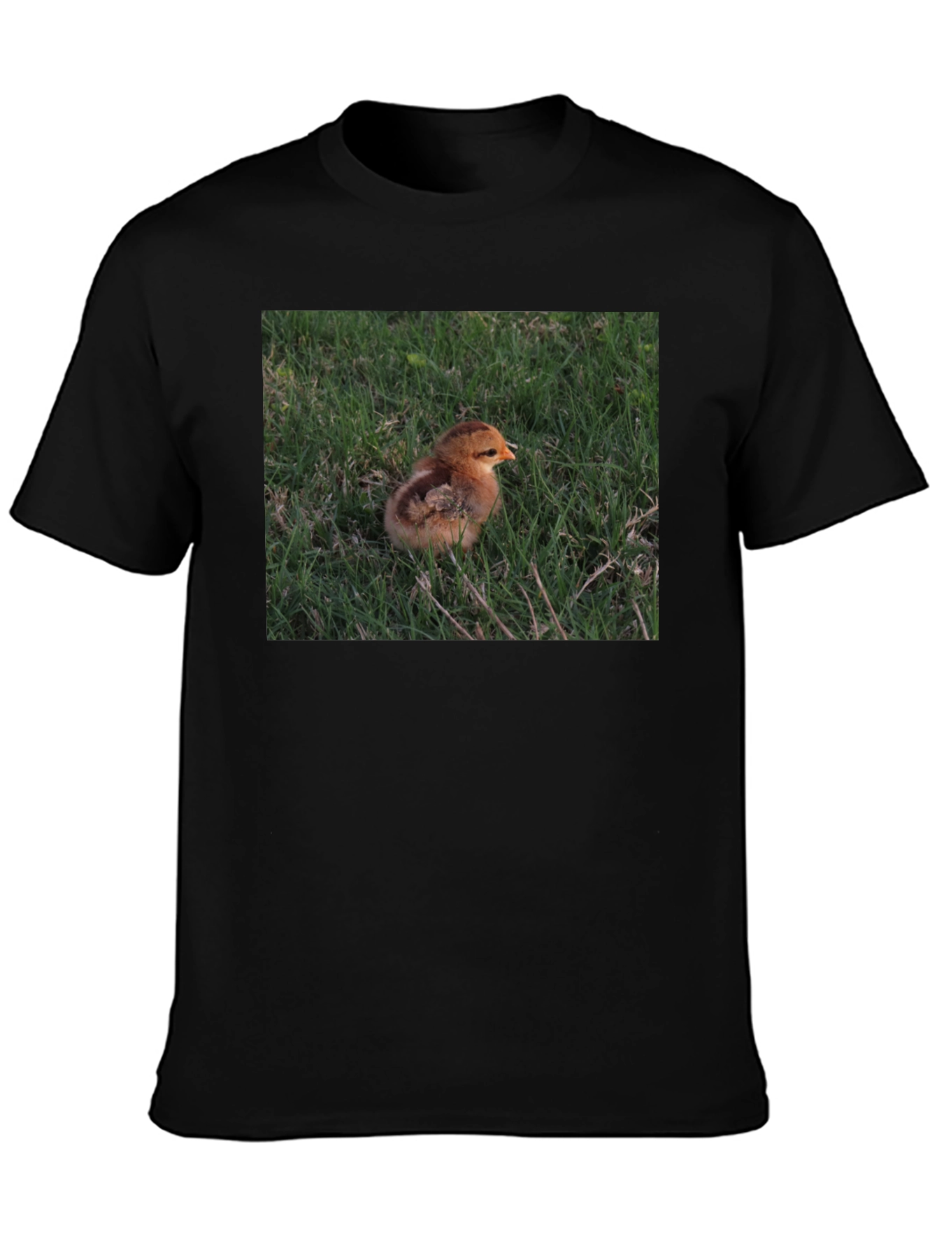 Camiseta Negra con Diseño de Pollito en el Césped