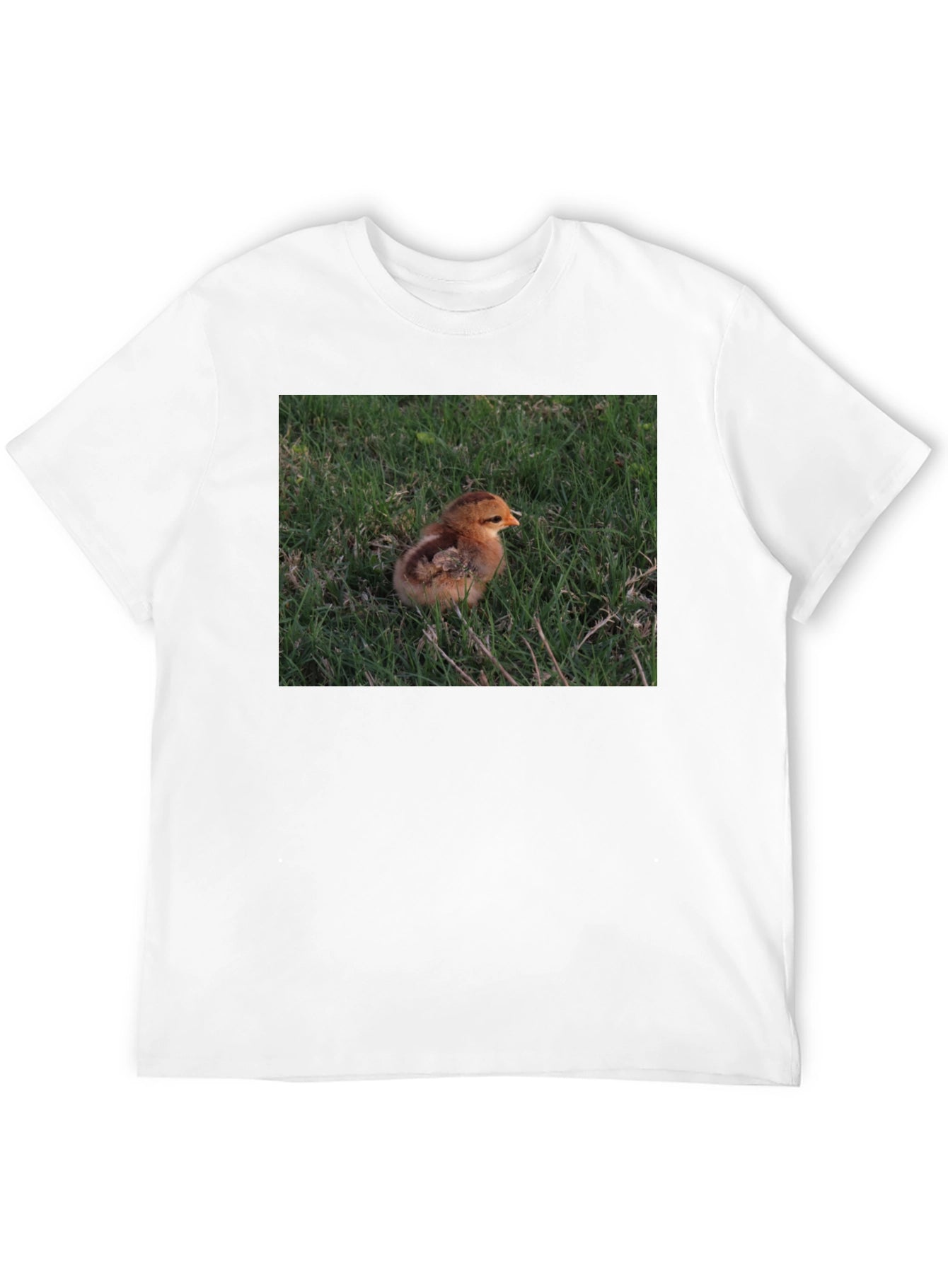 Camiseta Negra con Diseño de Pollito en el Césped