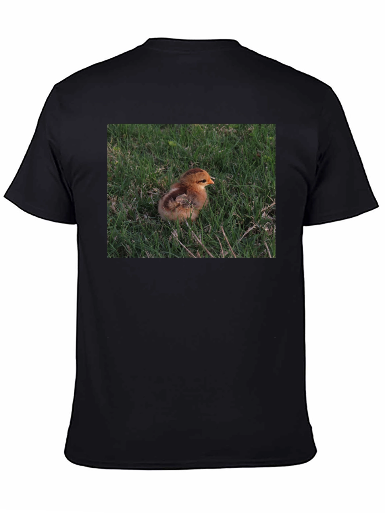 Camiseta Negra con Diseño de Pollito en el Césped