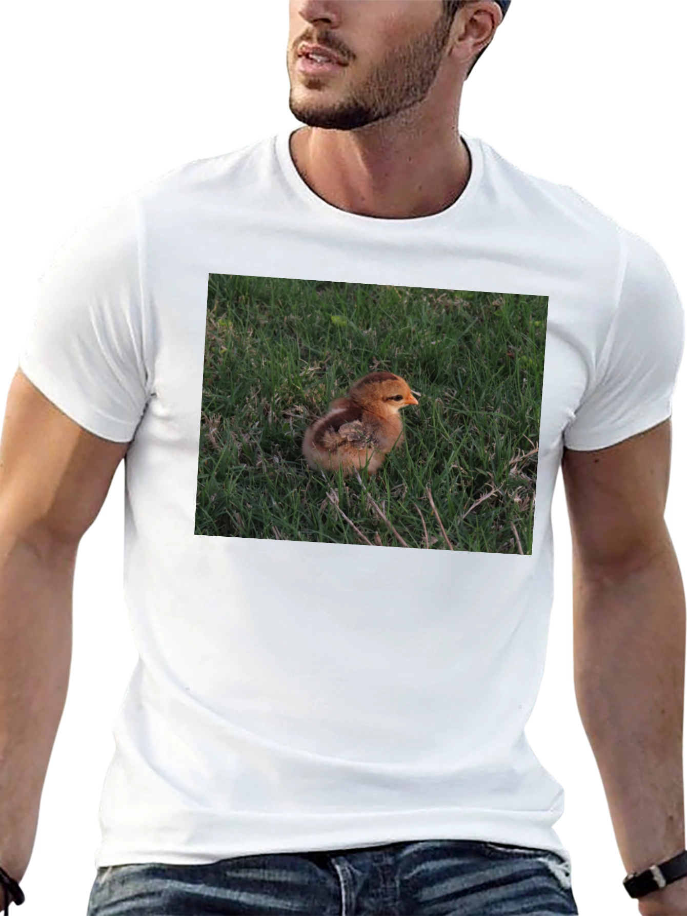 Camiseta Negra con Diseño de Pollito en el Césped