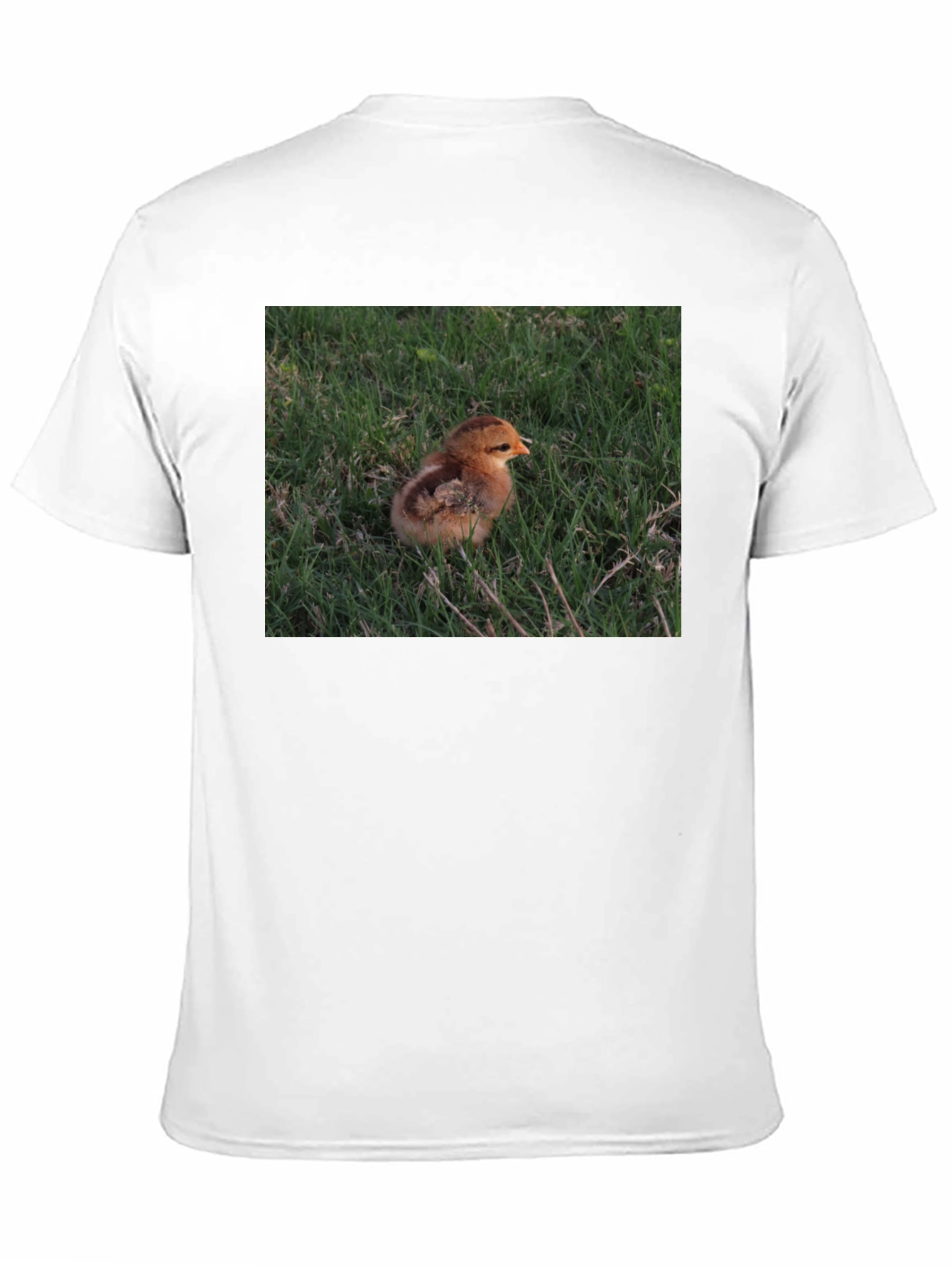 Camiseta Negra con Diseño de Pollito en el Césped